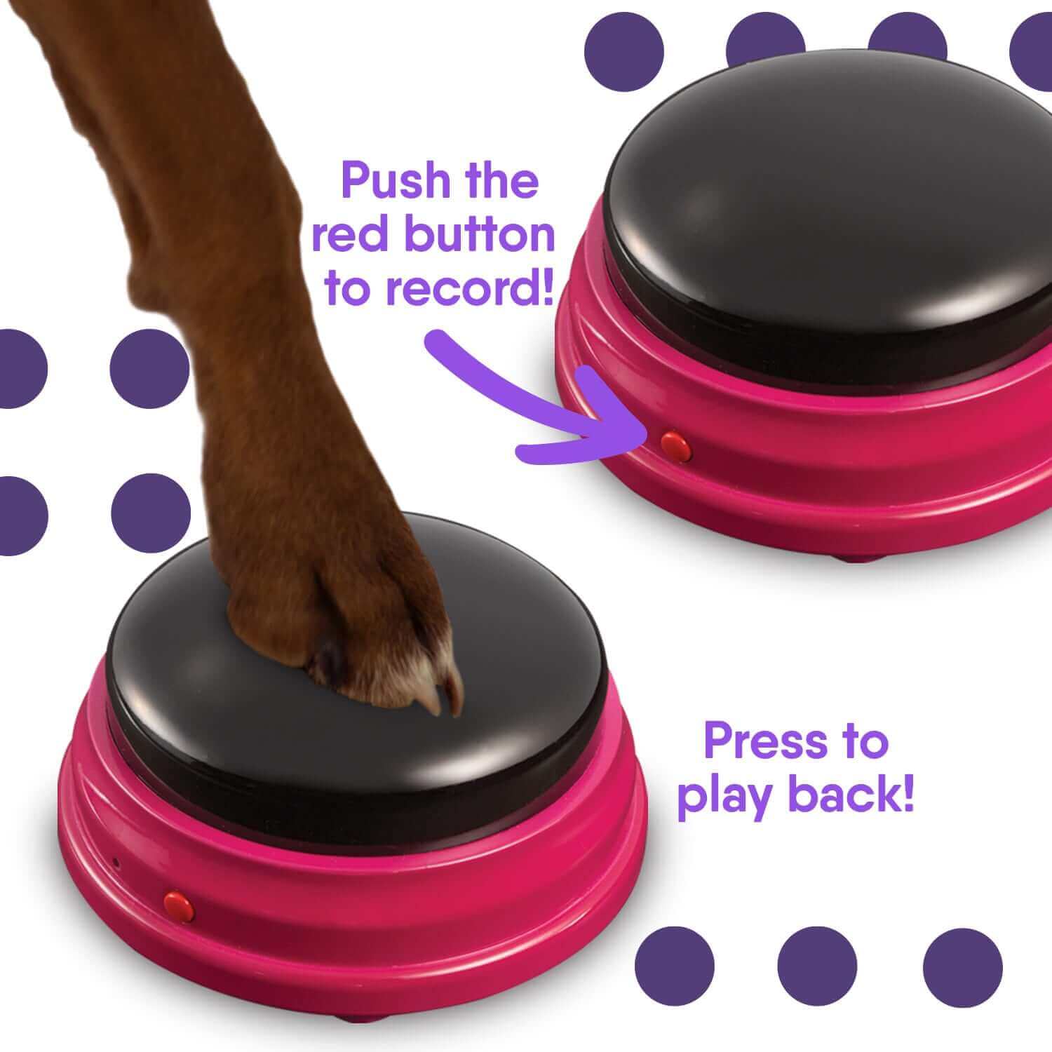 Dog paw pressing recordable talking button for pet communication in Hunger for Words Talking Pet Kezdő Készlet.