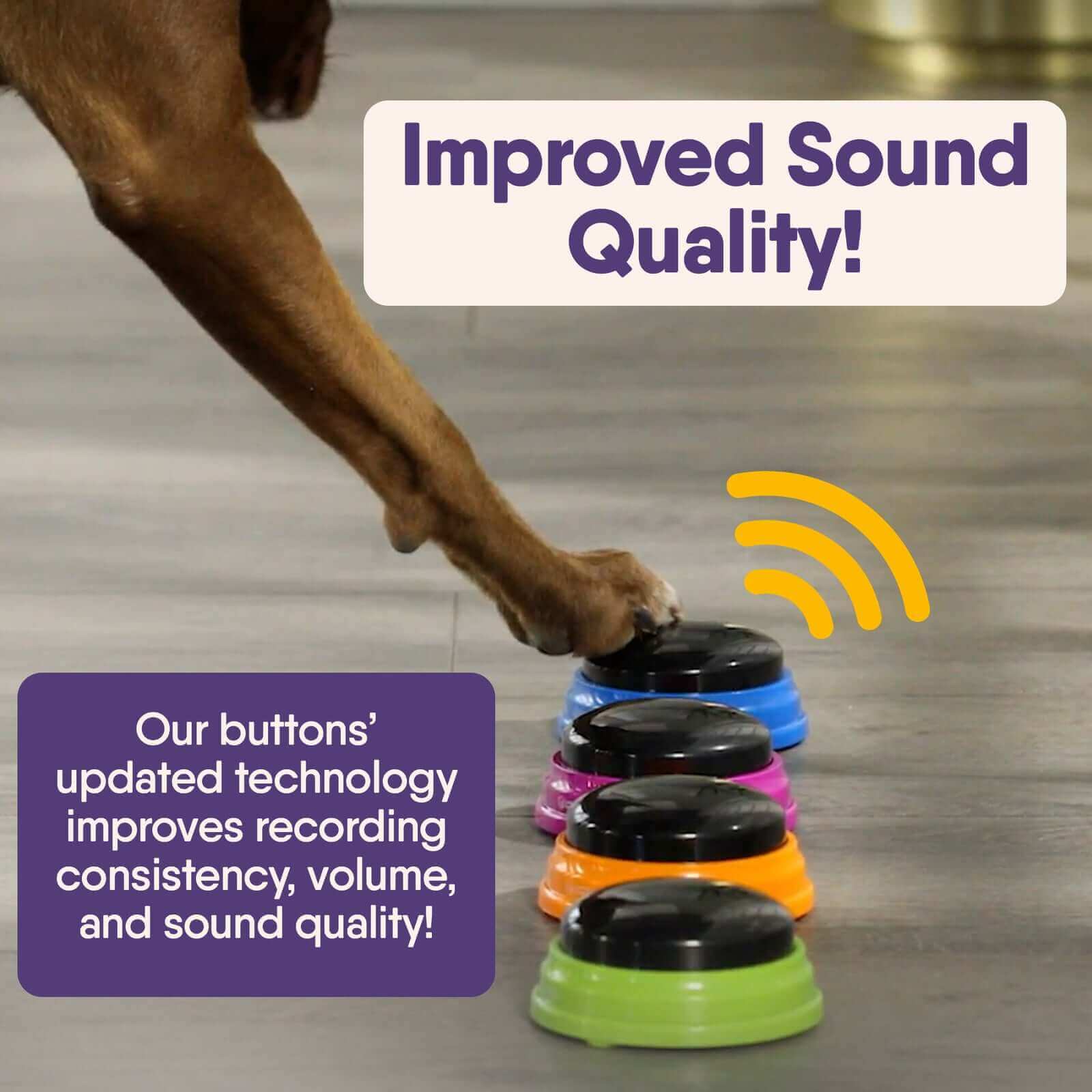 Dog paw pressing brightly colored recording buttons with text "Improved Sound Quality!" showcasing upgraded technology for better pet communication.