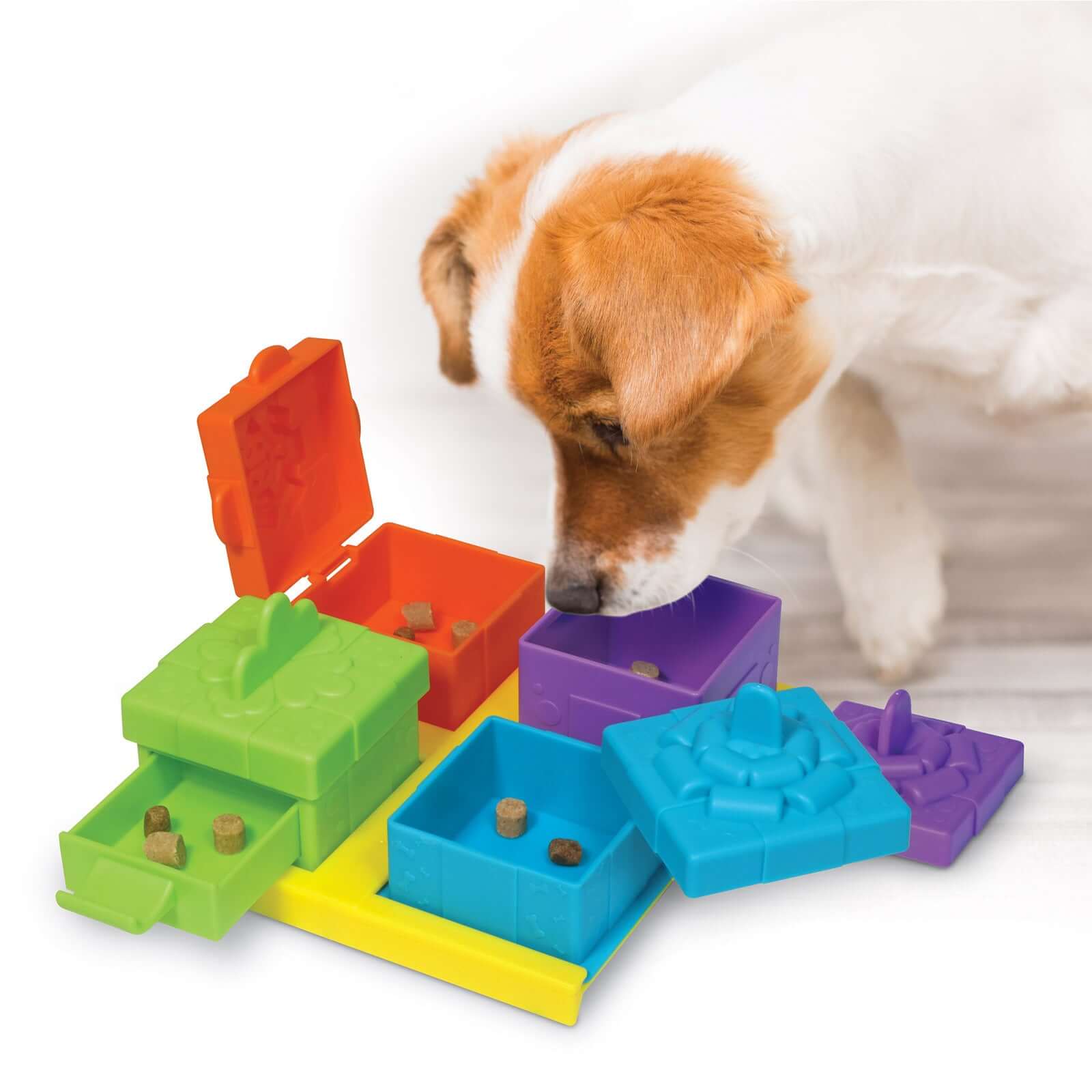 Playful dog solving the Brightkins Surprise Party! Jutalomfalat Puzzle filled with tasty treats in colorful compartments.