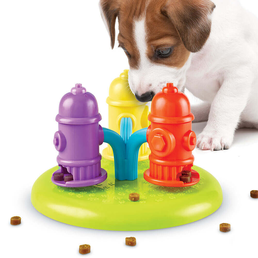 Cute puppy playing with Brightkins Spinning Hydrants Jutalomfalat Puzzle toy, seeking treats hidden under colorful hydrants.