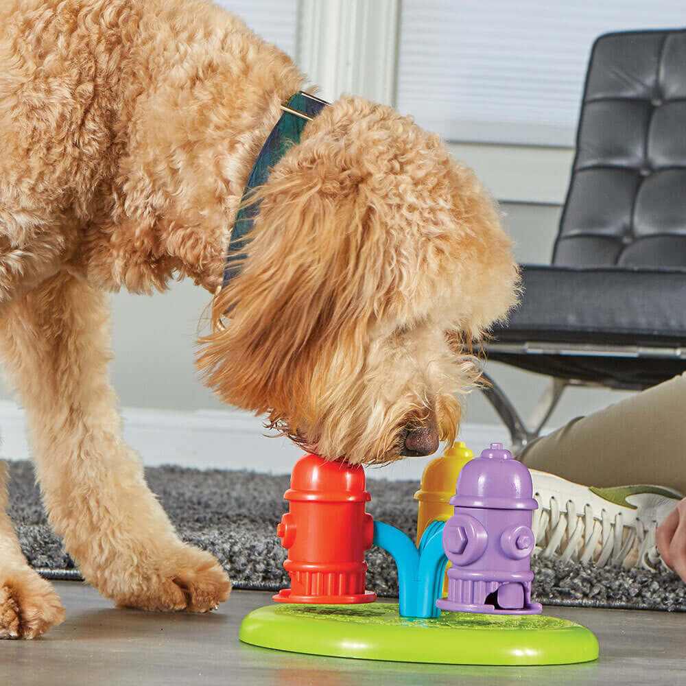 Fluffy dog solving the Brightkins Spinning Hydrants interactive puzzle toy with hidden treats for mental stimulation