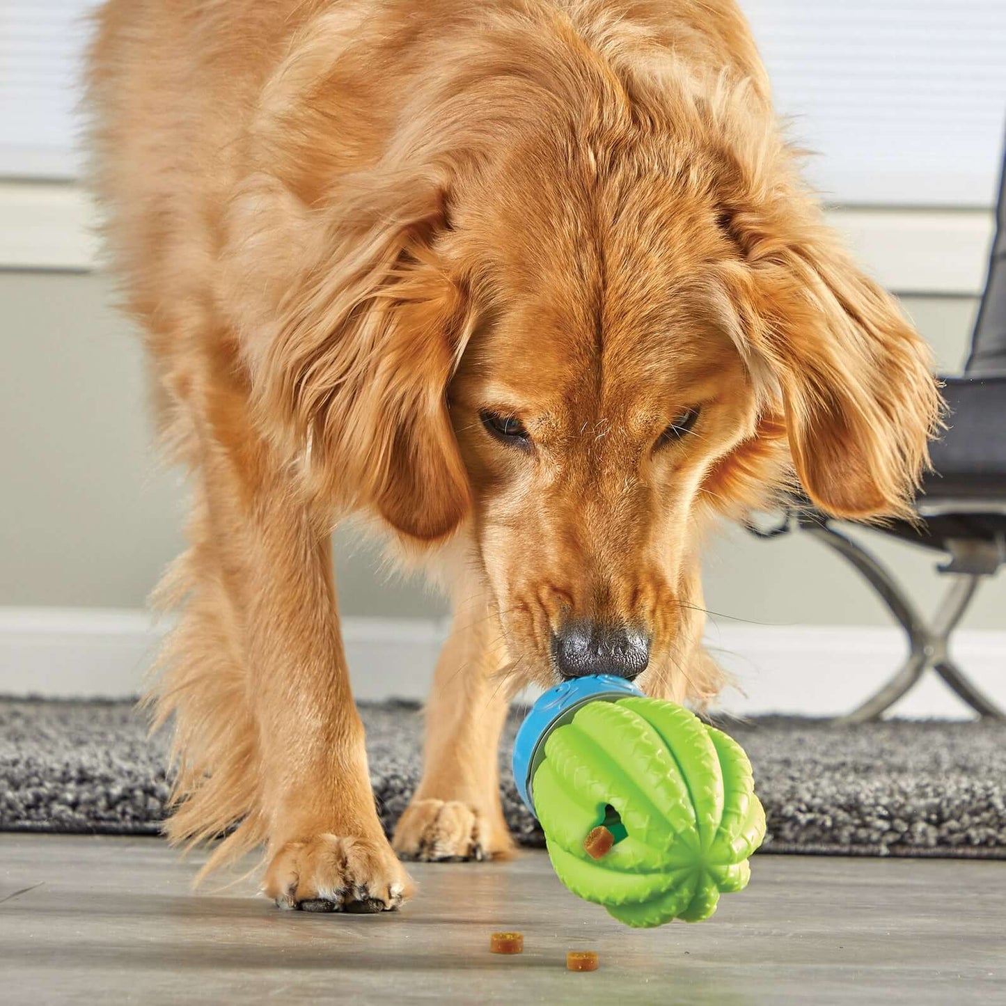 Dog playing with Brightkins Cactus Surprise treat dispenser toy, extracting treats from a green wobbling cactus-shaped puzzle.