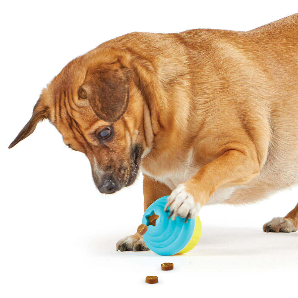 Adorable dog enjoys treats from a Brightkins Small Cupcake Jutalomfalat Adagoló, a colorful and fun treat dispenser.