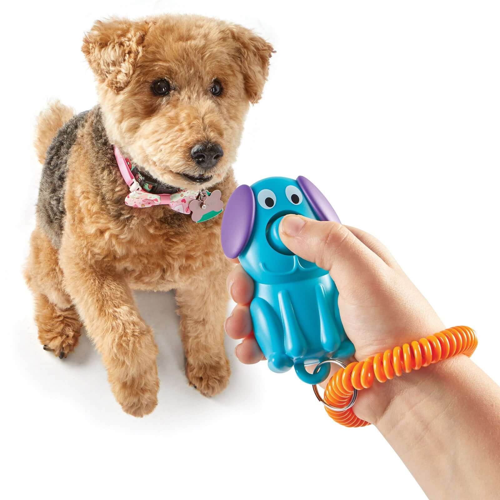 A cute dog being trained with the Brightkins Kutyakiképző Klikker - Kutyus, a bone-shaped clicker in vibrant blue, perfect for professional training.