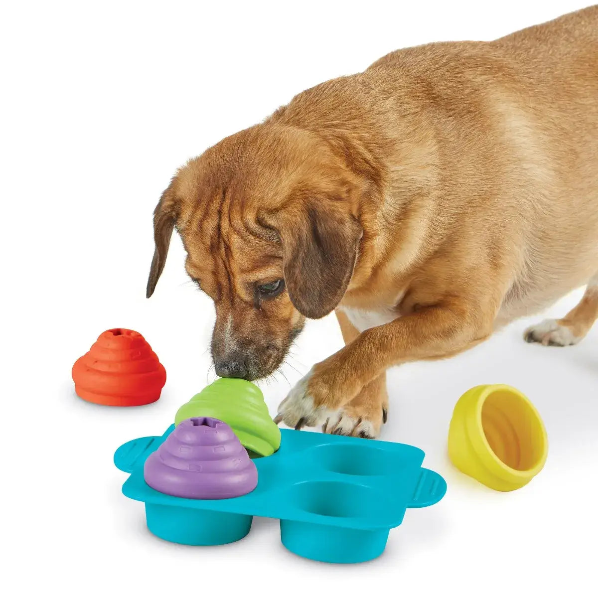 Dog playing with Brightkins Cupcake Party! Jutalomfalat Puzzle, searching for treats under colorful cupcake-shaped lids.